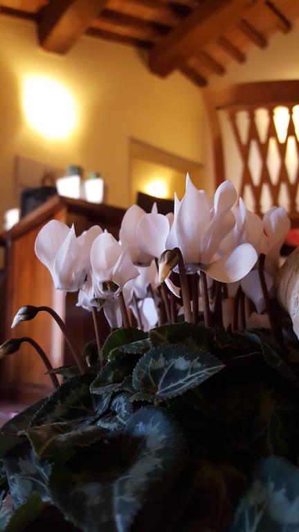 Dimora Fra' Giovanni B&B Relais Magione Eksteriør billede